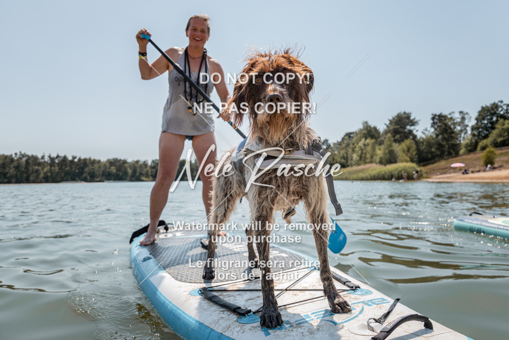 nelerasche_saSUP2_187 | nelerasche