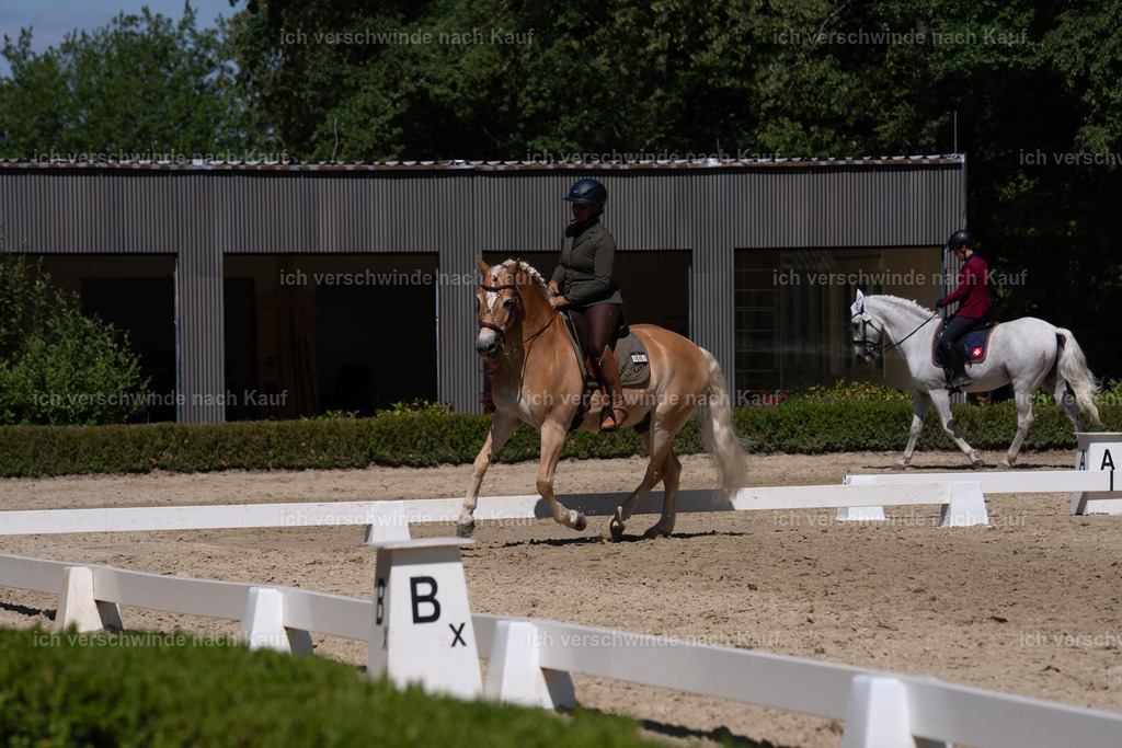 WS_DR_1_sinafilmart_IN03455 | working equitationturnier fotograf videograf stoibphotography marixx film working equitation deutschland reitsport turnierfotografie eventfotografie equestrian events