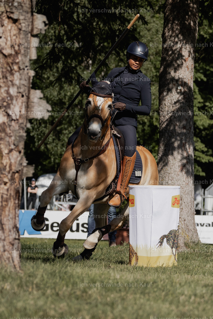 _AM10653 | Pferd International München 2025