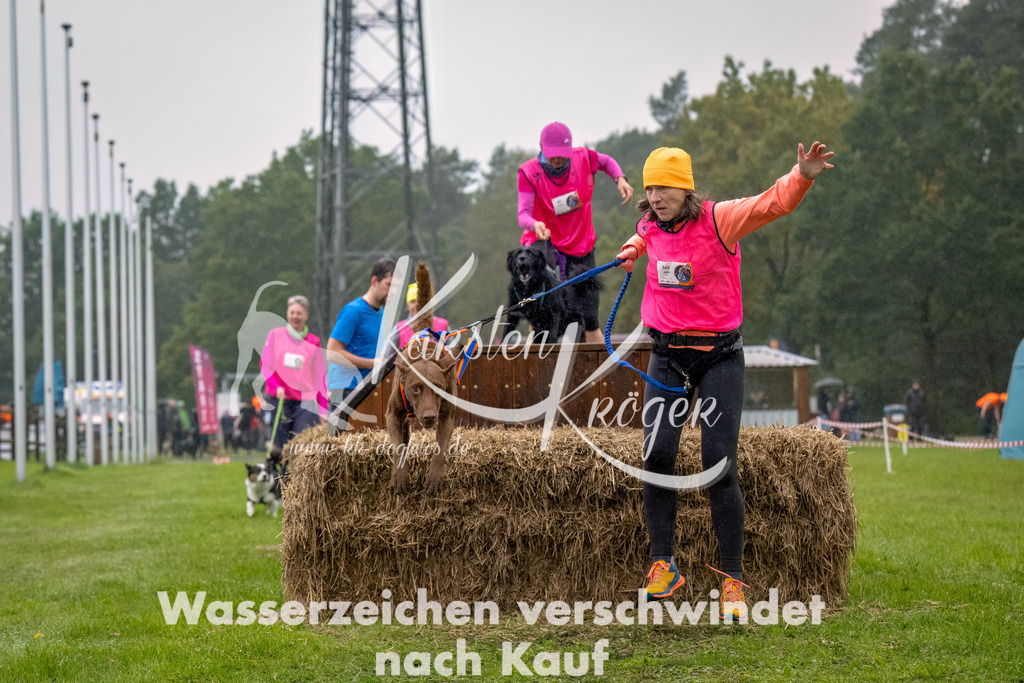 1005--26 | kk-dogfotos