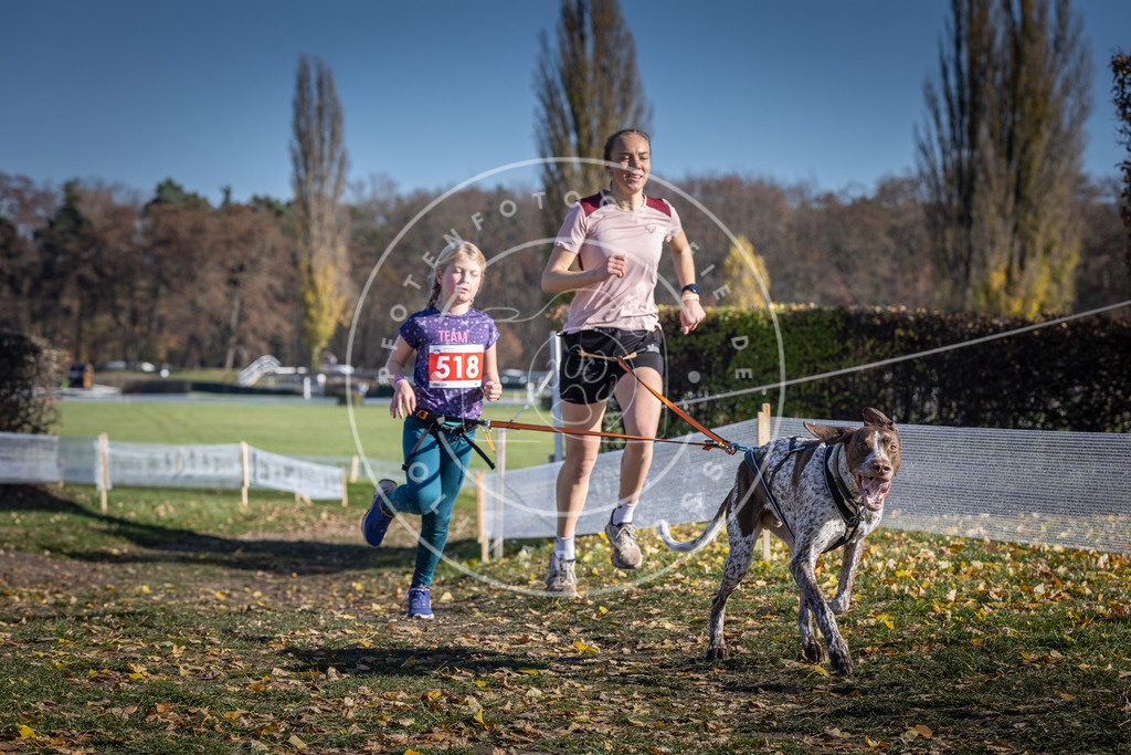 CaniXpix_DV3A8070 | Hundefotografie, Tierfotograf, Pfotenfotografie, Fotoshooting Hund, Hunde Portrait, Hundesport, Hundeportraits, Heideshooting, Hunde, Sportfotograf, Hundefotograf, Turnierhundsport, THS,  - Realisiert mit Pictrs.com