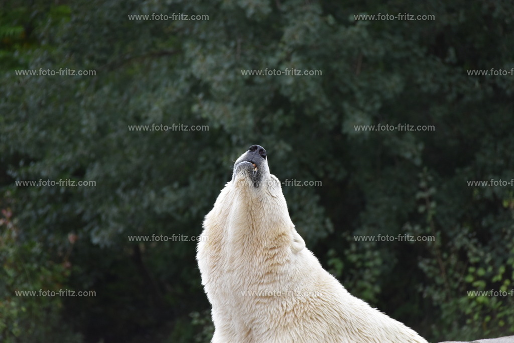 JUN_5955 | www.foto-fritz.com - Realisiert mit Pictrs.com