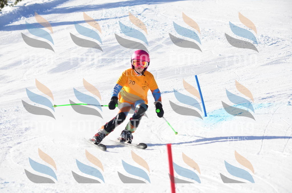 C5880 | holidayphoto