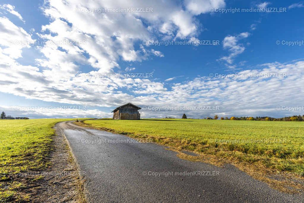 _J3A8923 | medienkrizzler - Realisiert mit Pictrs.com