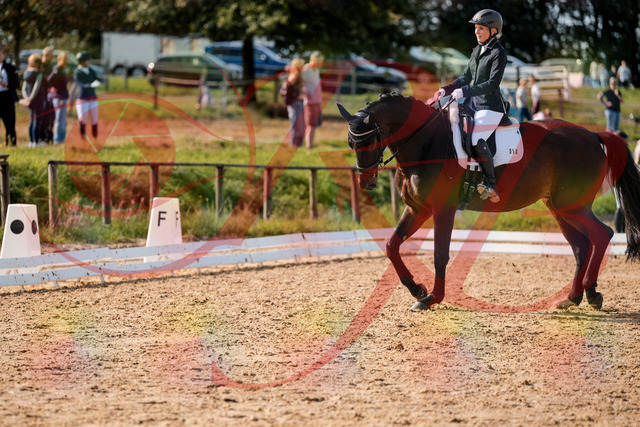 2026_10_03_Siefer-Hof_133641_Z63_97543956 | Professionelle Reitsport-, Turnier- und Eventfotografie von Robert Broda. Galerien mit ausgewählten und bearbeiteten Bildern direkt online ansehen und bestellen.