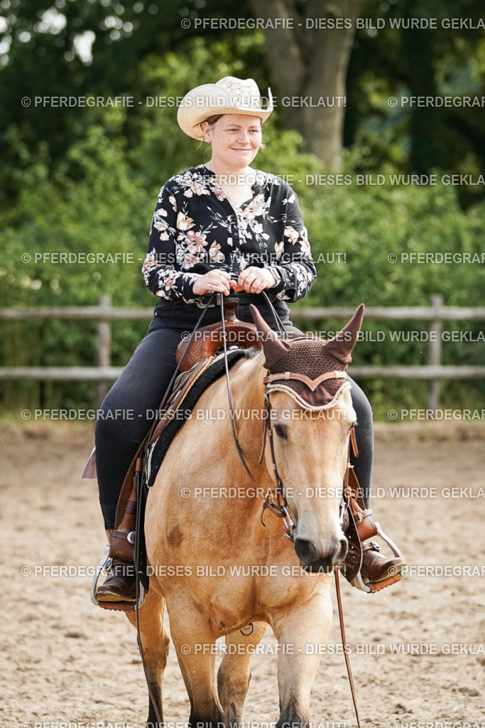 DSC04628 | Pferdegrafie