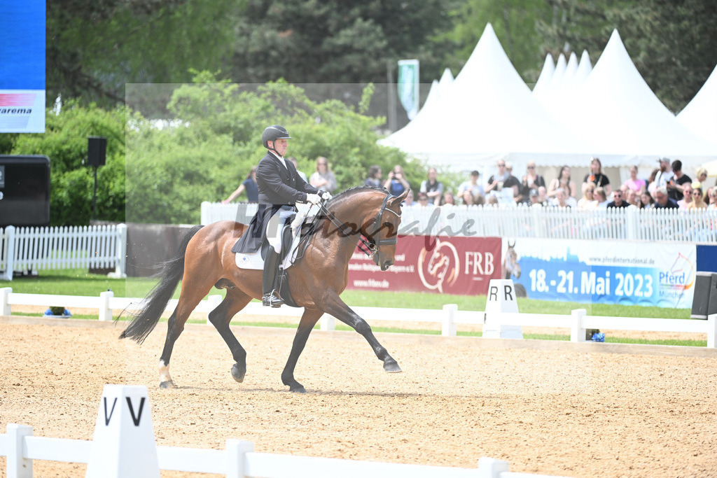 Eichhorn_Valentino_11233785 | hf-fotografie - Realisiert mit Pictrs.com