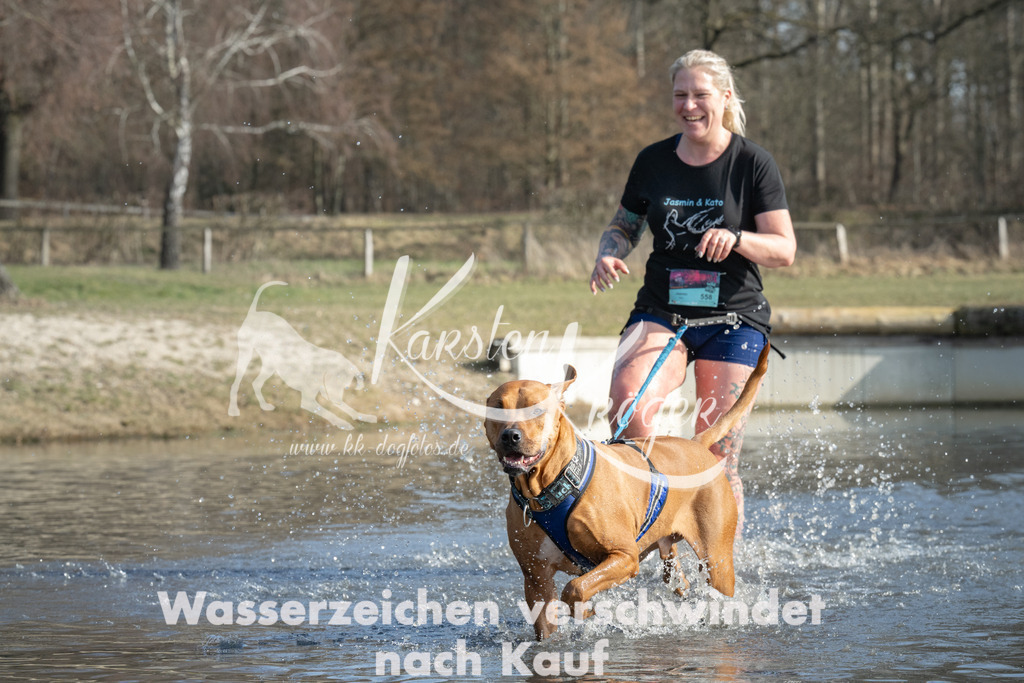1342_ZZ97937 | kk-dogfotos