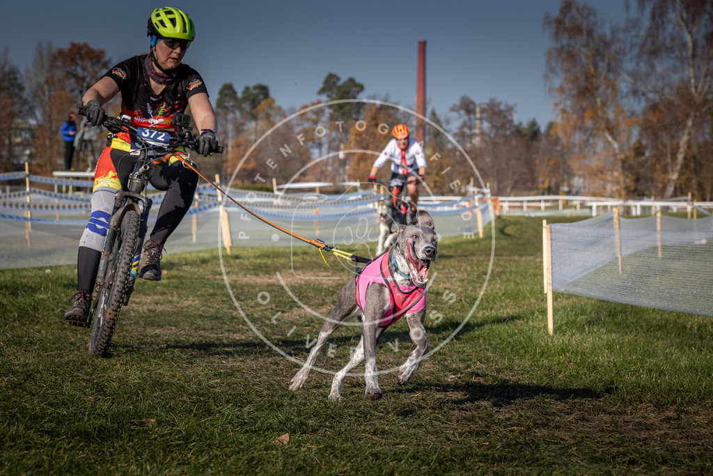 CaniXpix_0L8A8067 | Hundefotografie, Tierfotograf, Pfotenfotografie, Fotoshooting Hund, Hunde Portrait, Hundesport, Hundeportraits, Heideshooting, Hunde, Sportfotograf, Hundefotograf, Turnierhundsport, THS,  - Realisiert mit Pictrs.com