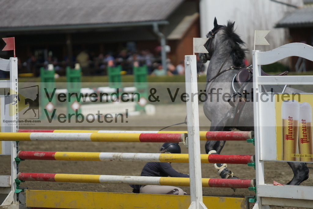 DSC04236 | equestrian-live-com