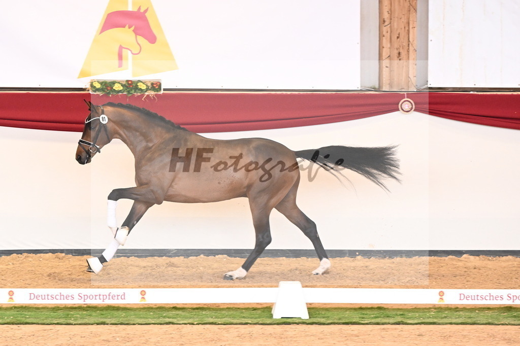 Kat.-Nr. 81 v. Vivino_Freisel_2241065 | hf-fotografie - Realizzato con Pictrs.com