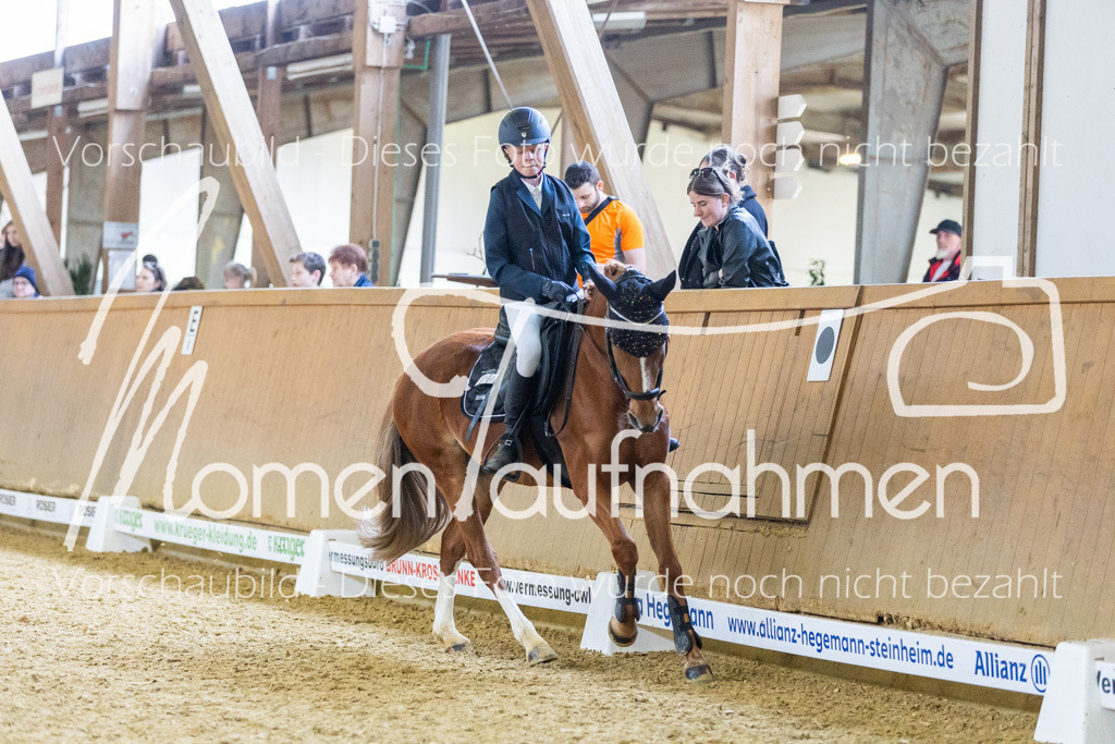 Sth-LPO25-Kombi-111 | MomenTaufnahmen Pferdesportfotos