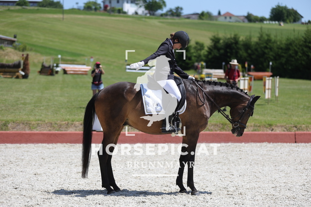 0P6A1401 | Willkommen bei Brunnmayr - Design & Fotografie – Ihrem Spezialisten für Reitturniere und Pferdeveranstaltungen in Oberösterreich, Salzburg und Bayern! Seit über 17 Jahren sind wir leidenschaftlich dabei.