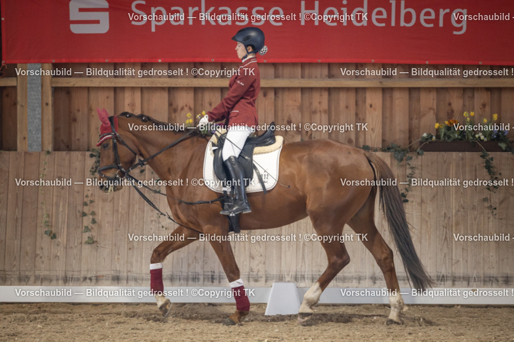 _D5A5618 | Emotionale Pferde- & People-Fotografie rund um Heidelberg, Leimen & Umgebung. Natürliche Fotos von Pferd, Mensch & Familie. Jetzt Termin sichern!