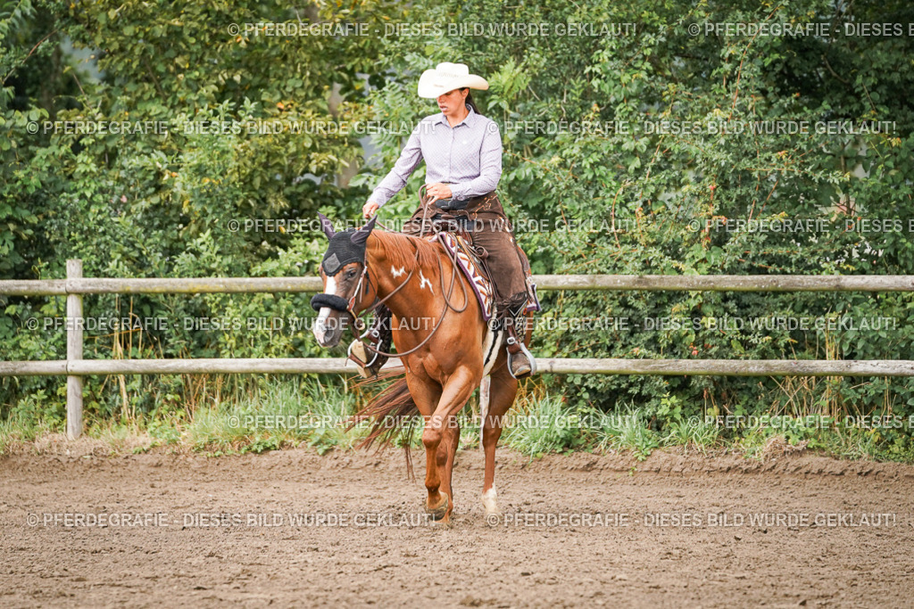 DSC08046 | Pferdegrafie