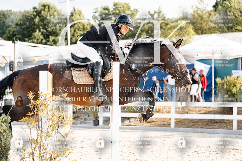 CK903172 | Turnierfotografie Pferdefotografie Trier Rheinland-Pfalz Pferdesport Reitsport Tierfotografie Sportfotografie Pferdevideo Pferdevideografie Equestrianvideography equestrianphotography  - Realisiert mit Pictrs.com