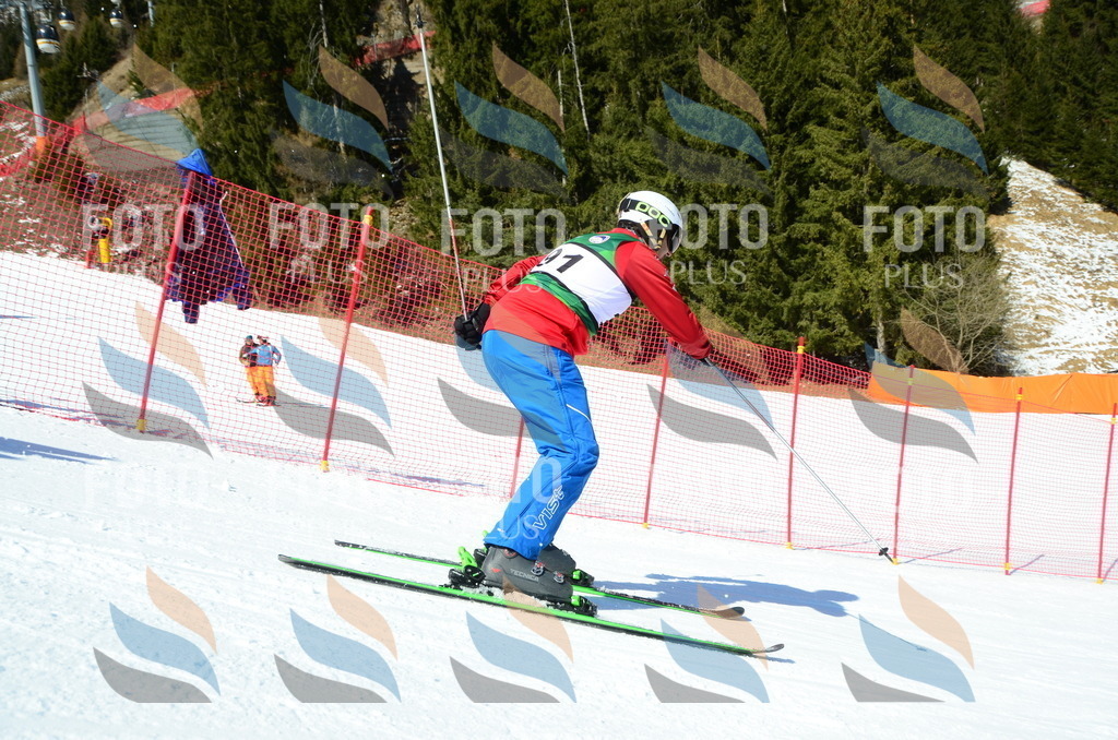 C6516 | holidayphoto