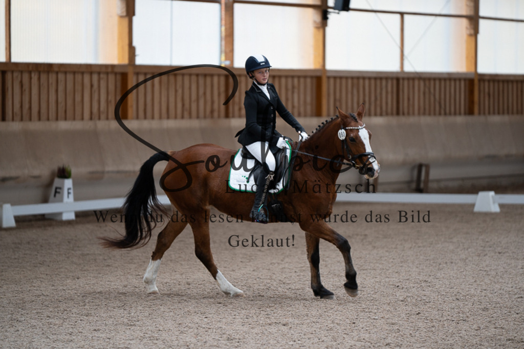 A7V02750 | Pferdefotograf