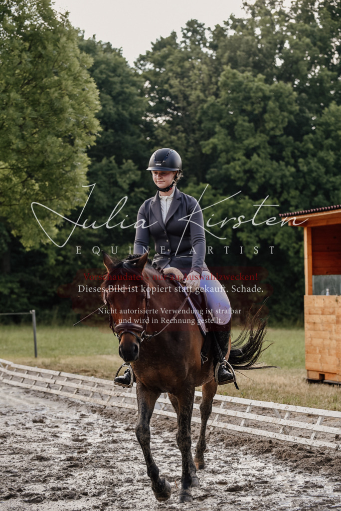 DSC_8405 | Pferde- und Turnierfotografie in Westsachsen. Pferdeportraits, Auftragszeichnungen und intuitive Kunst.