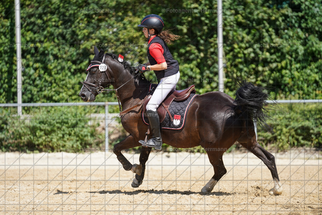 20240824-FAH08253 | Thierhaupten 2024, Bayerisches Landesponyturnier, Turnierbilder, Ponybilder, Turnierfotografen Bayern, Fotoagentur Herrmann