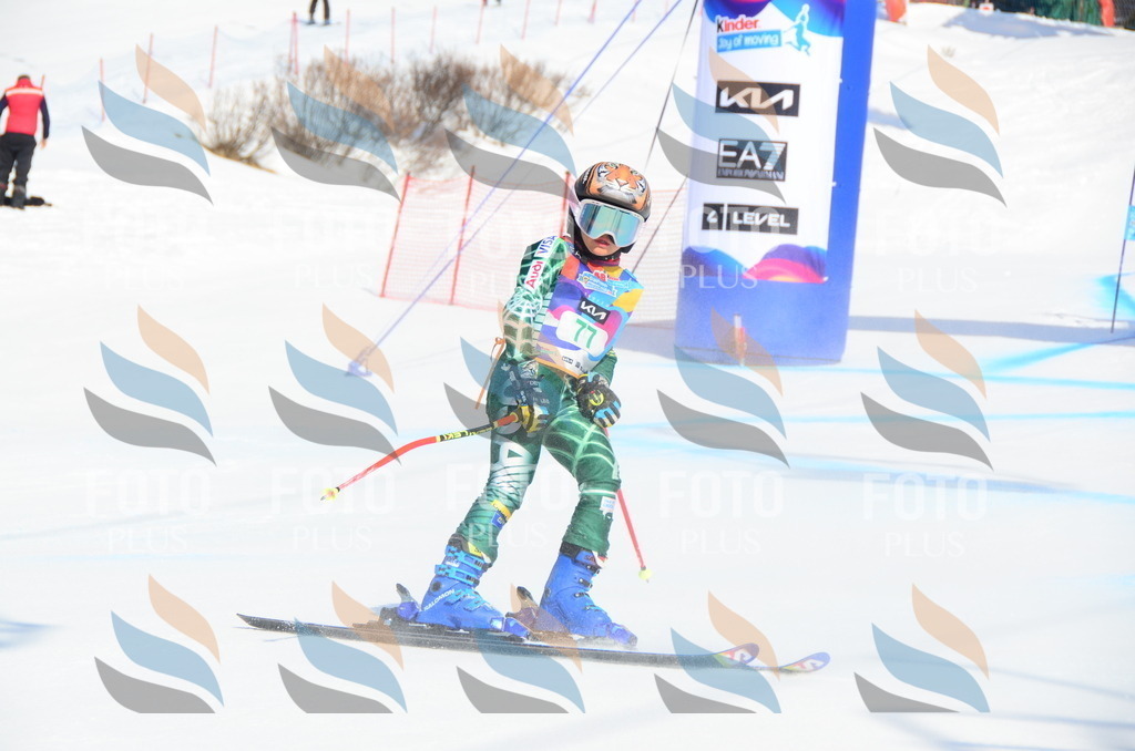 DSC_0472 | holidayphoto