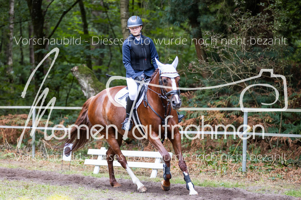 HB-Caprilli-019 | MomenTaufnahmen Pferdesportfotos