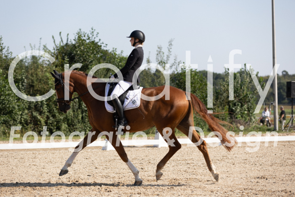 IMG_5535 | Creatify Fotografie