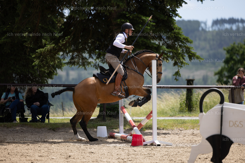 Masterclass_stoibphotography_C2_C8718.CR3 | working equitationturnier fotograf videograf stoibphotography marixx film working equitation deutschland reitsport turnierfotografie eventfotografie equestrian events