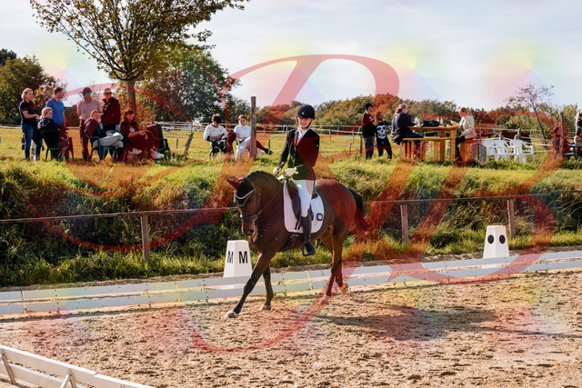 2026_10_03_Siefer-Hof_125633_Z63_63958595 | Professionelle Reitsport-, Turnier- und Eventfotografie von Robert Broda. Galerien mit ausgewählten und bearbeiteten Bildern direkt online ansehen und bestellen.