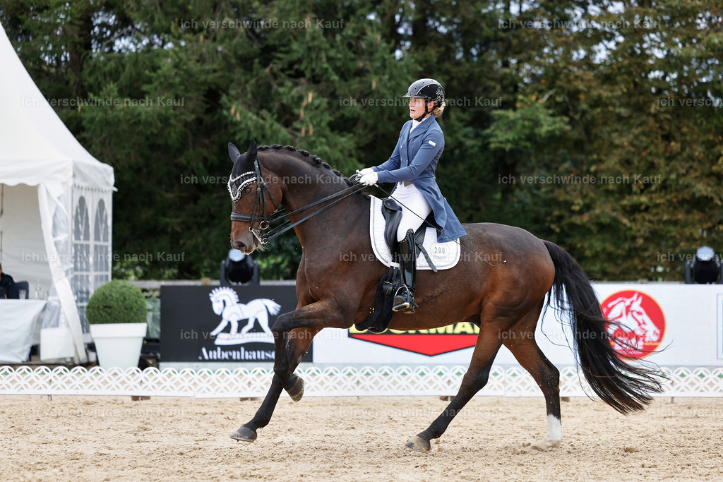 6-200-AMATUER-DRESSUR S_  -StoibPH-3540 | working equitationturnier fotograf videograf stoibphotography marixx film working equitation deutschland reitsport turnierfotografie eventfotografie equestrian events