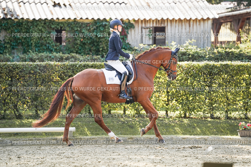 DSC07394 | Pferdegrafie