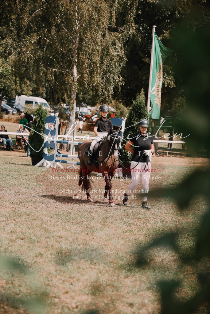 DSC_6140 | Pferde- und Turnierfotografie in Westsachsen. Pferdeportraits, Auftragszeichnungen und intuitive Kunst.