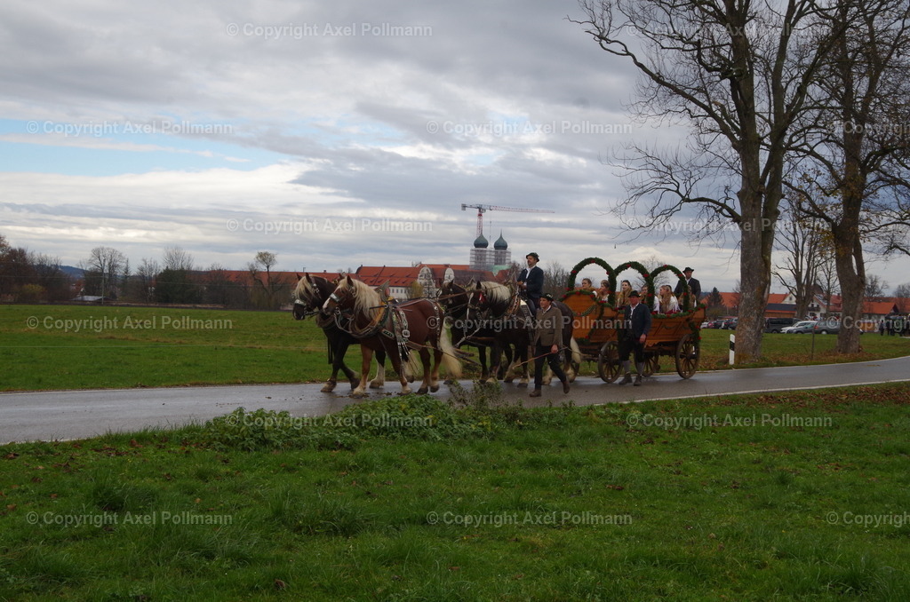 IMGP9784 | fotografiert von Axel PollmannLeonhardi Wallfahrt Benediktbeuern und Murnau, Fronleichnam, Fasching, Landschaft im Loisachtal und Benediktbeuern  - Realisiert mit Pictrs.com