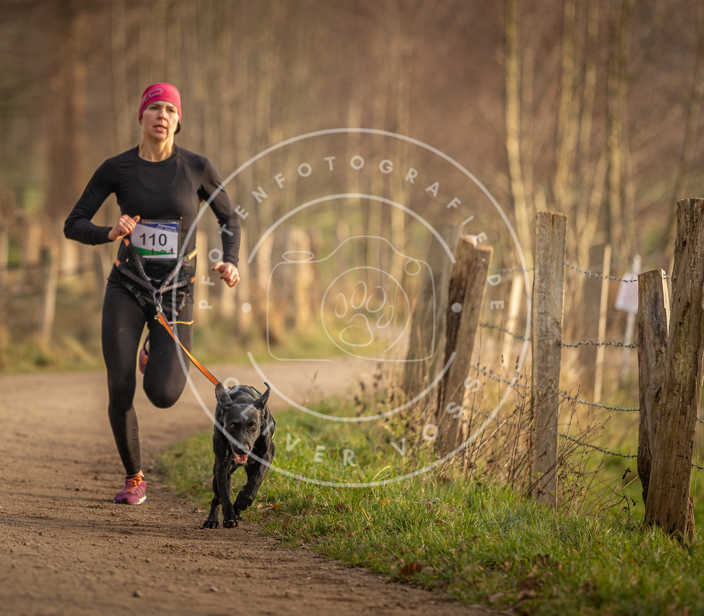 Pfotenfotografie_DV3A4997 | Hundefotografie, Tierfotograf, Pfotenfotografie, Fotoshooting Hund, Hunde Portrait, Hundesport, Hundeportraits, Heideshooting, Hunde, Sportfotograf, Hundefotograf, Turnierhundsport, THS,  - Realisiert mit Pictrs.com