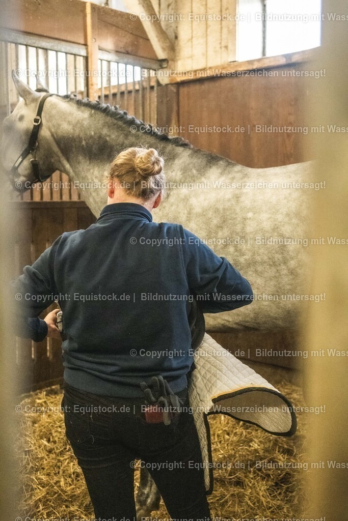 20240302_Hengstvorstellung_Marbach_TOMsPiC_0032 | equistock