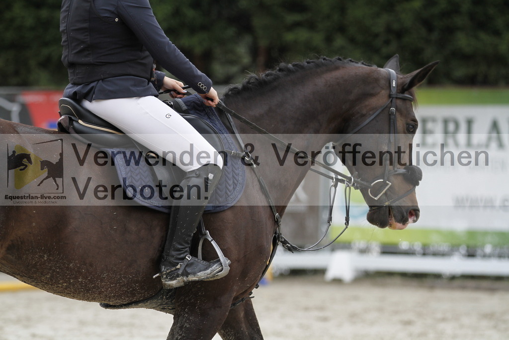 _MG_0640 | equestrian-live-com