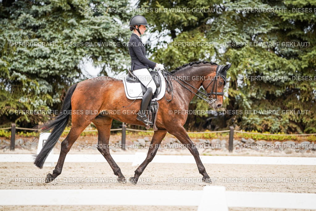 DSC05899 | Pferdegrafie