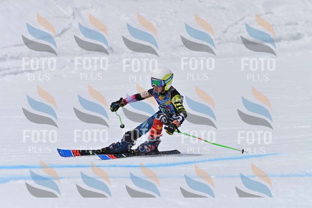 BGV_4942 | holidayphoto