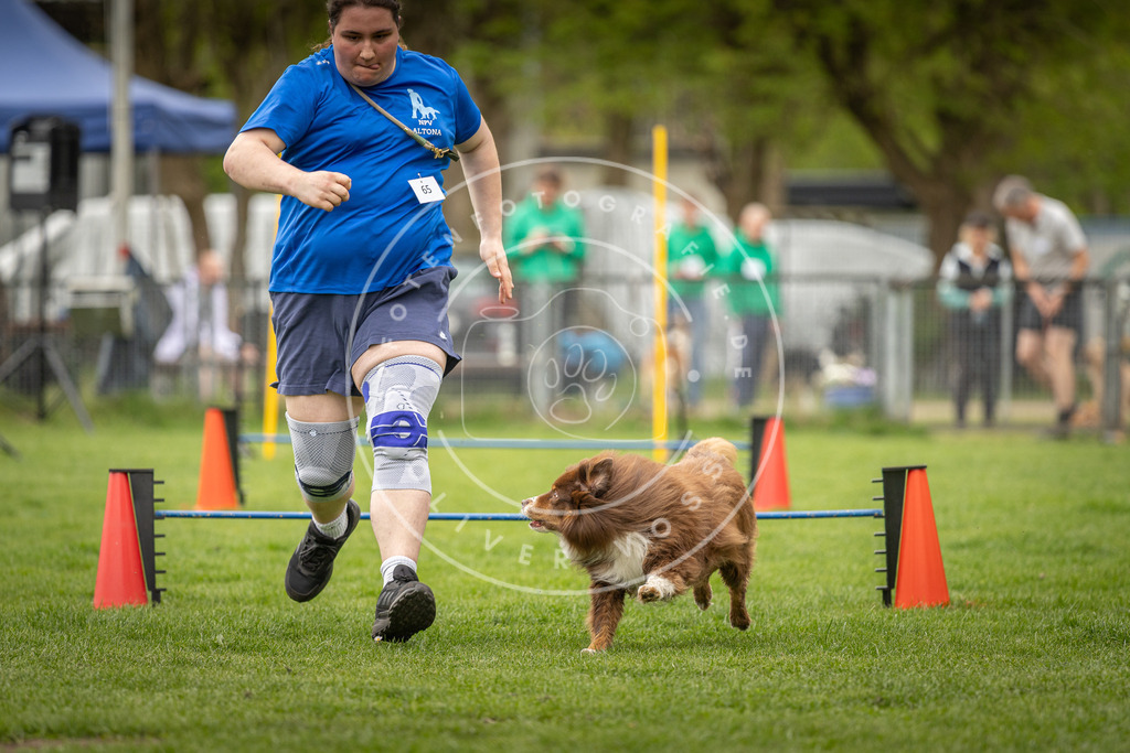 Pfotenfotografie_DV3A2614 | Hundefotografie, Tierfotograf, Pfotenfotografie, Fotoshooting Hund, Hunde Portrait, Hundesport, Hundeportraits, Heideshooting, Hunde, Sportfotograf, Hundefotograf, Turnierhundsport, THS,  - Realisiert mit Pictrs.com