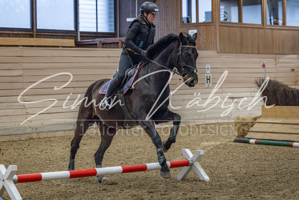 20260221-_3LI8326 | Tierfotografie Pferde, Hunde, Katzen, Haustiere.
Turnierfotografie Reitturniere, Reiten, Springreiten, Dressur in Hanau, dem Main-Kinzig-Kreis und dem Rhein-Main- Gebiet um Frankfurt