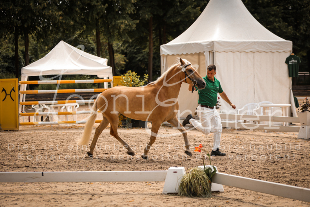 06.So00014 | Leoni Ertmer Photography - Realisiert mit Pictrs.com