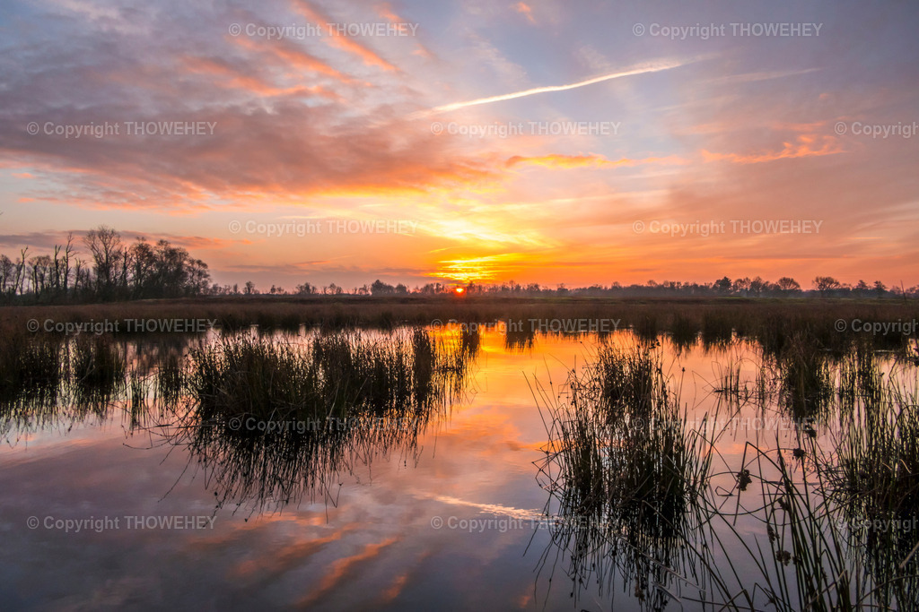 _2650576 | thowehey - Realisiert mit Pictrs.com