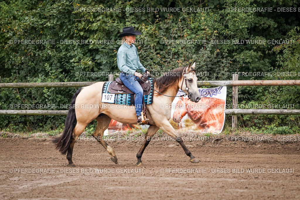 DSC05567 | Pferdegrafie