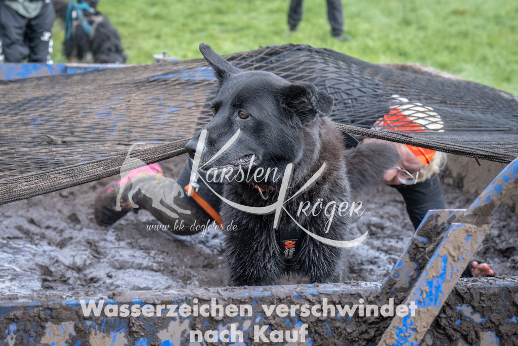 1419_ZZ92000 | kk-dogfotos