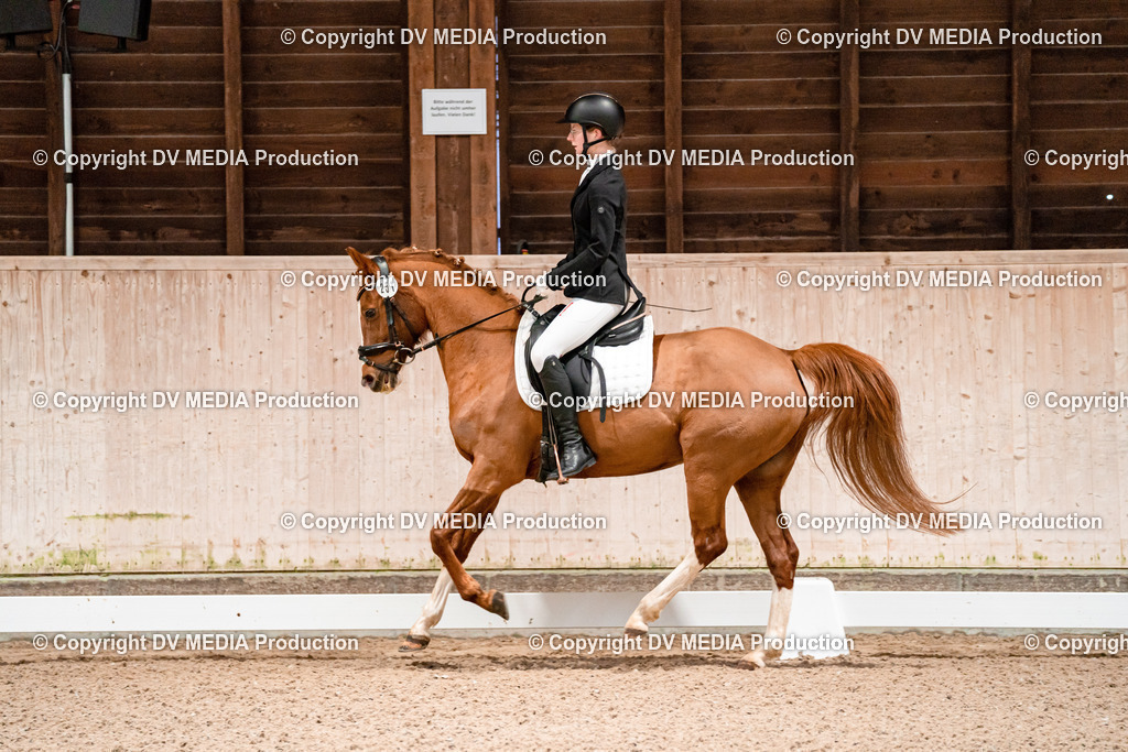 Dressur Tag 2-80 | dv-media-shop - Realisiert mit Pictrs.com