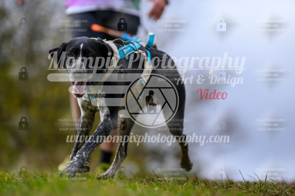 MompixPhotography_2OATB_SO_Run-57 | PayLife