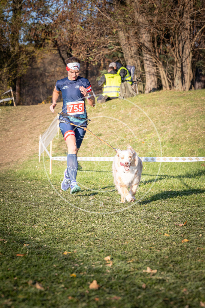 CaniXpix_0L8A0034 | Hundefotografie, Tierfotograf, Pfotenfotografie, Fotoshooting Hund, Hunde Portrait, Hundesport, Hundeportraits, Heideshooting, Hunde, Sportfotograf, Hundefotograf, Turnierhundsport, THS,  - Realisiert mit Pictrs.com