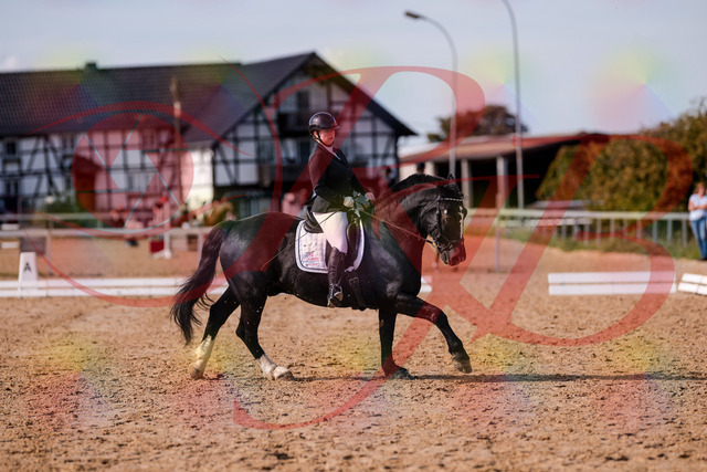 2026_10_03_Siefer-Hof_131849_Z81_66748815 | Professionelle Reitsport-, Turnier- und Eventfotografie von Robert Broda. Galerien mit ausgewählten und bearbeiteten Bildern direkt online ansehen und bestellen.