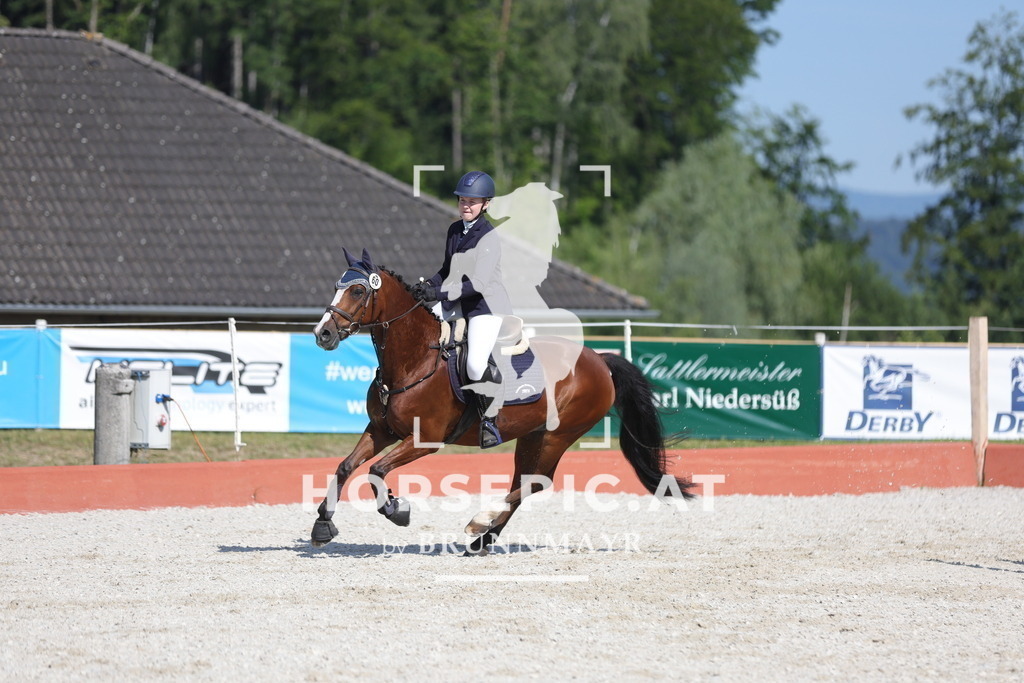0P6A7548 | Willkommen bei Brunnmayr - Design & Fotografie – Ihrem Spezialisten für Reitturniere und Pferdeveranstaltungen in Oberösterreich, Salzburg und Bayern! Seit über 17 Jahren sind wir leidenschaftlich dabei.