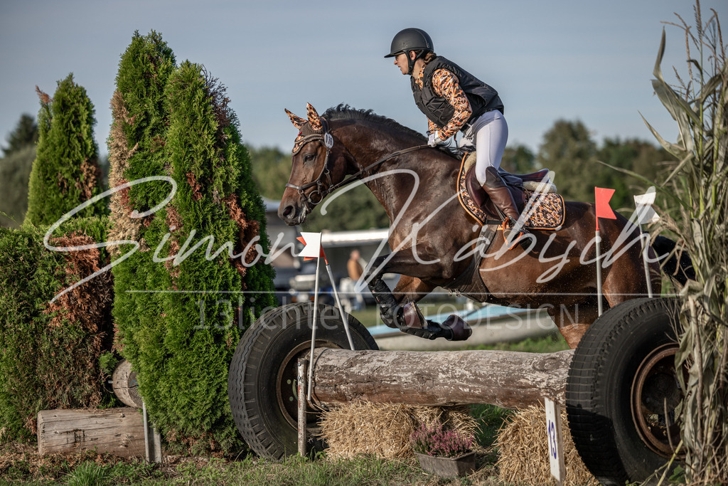 20250907-_3LI8419 | Tierfotografie Pferde, Hunde, Katzen, Haustiere.
Turnierfotografie Reitturniere, Reiten, Springreiten, Dressur in Hanau, dem Main-Kinzig-Kreis und dem Rhein-Main- Gebiet um Frankfurt